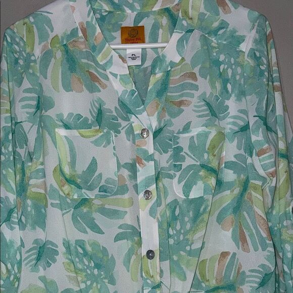 Ruby Rd Green and White 3/4 Sleeve Notched Collar Button Down - Picture 8 of 14